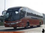 Marcopolo Paradiso G7 1050 / Mercedes Benz O-500RS / Pullman Bus