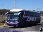 Marcopolo Paradiso G7 1050 / Scania K380 / Condor Bus