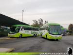 Unidades Mercedes Benz - Volvo / Turbus