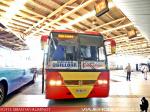 Busscar El Buss 340 / Mercedes Benz O-400RSE / Buses Golondrina