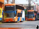 Modasa Zeus 4 / Scania K400 / Pullman Bus