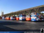 Pullman Bus / Terminal Alameda