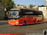 Bonluck JXK6128 / Pullman Bus Lago Peñuelas