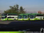 Unidades Tur-Bus / Terminal Alameda - Santiago