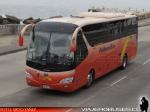 Flota de Buses Pullman Bus