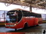 Zhong Tong LCK6125 / Buses Golondrina
