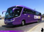 Marcopolo Paradiso G7 1200 / Mercedes Benz O-500RSD / Condor Bus