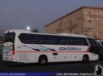 King Long XMQ6130Y / Condor Bus