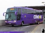 Busscar Jum Buss 380 / Mercedes Benz O-500RS / Condor Bus