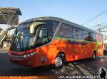 Marcopolo Viaggio G7 1050 / Mercedes Benz OC-500RF / Pullman Bus