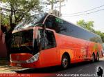 Zhong Tong LCK6137 / Pullman Palmira