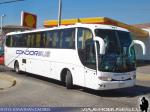 Marcopolo Viaggio 1050 / Scania K124IB / Condor Bus