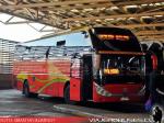 Zhong Tong LCK6137 / Pullman Palmira