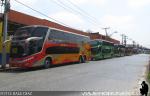 Unidades DD / Pullman Bus - San Borja