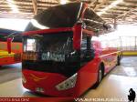 Zhong Tong LCK6137 / Buses Golondrina