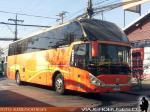 Zhong Tong LCK6137 / Paravias