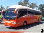 Unidades Mercedes Benz / Pullman Bus