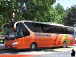 Yutong ZK6129H / Pullman Bus Lago Peñuelas