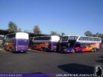 Modasa New Zeus II / Mercedes Benz O-500RSD / Condor Bus