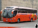 Mascarello Roma 350 / MAN 19.400 / Pullman Bus