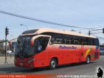 Mascarello Roma 350 / MAN 19.400 / Pullman Bus