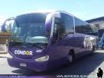 Irizar Century / Scania K380 / Condor Bus