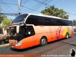 Zhong Tong LCK6137 / Paravias