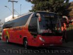 Young Man JNP6120T Starliner / Pullman Bus