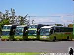 Unidades Mercedes Benz / Tur-Bus