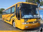 Busscar El Buss 340 / Scania K113 / Buses Golondrina