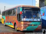 Busscar El Buss 340 / Mercedes Benz O-400RSE / Buses Golondrina