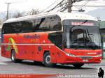 Youngman JPN6126 / Pullman Bus