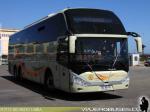 Zhong Tong LCK6137 / Expreso Norte