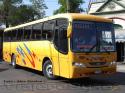 Maxibus Lince / Mercedes Benz OF-1721 / Bupesa