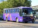 Marcopolo Viaggio GV1000 / Volvo B7R / Buses Golondrina