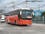 Zhong Tong LCK6125H / Pullman Bus