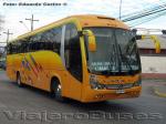 Maxibus Lince / Mercedes Benz OF-1722 / Buses Golondrina