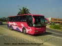 Marcopolo Andare / Volvo B7R / Pullman Bus Lago Peñuelas