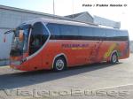 Zhong TongBus Creator LCK6125H /  Pullman Bus Lago Peñuelas