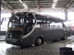 Zhong Tong LCK6170H / Palmira