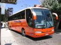 Marcopolo Viaggio 1050 / Scania K340 / Pullman Bus