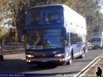 Unidades de Buses Ahumada - Especial Caminata Los Andes 2011