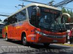 Flota de Buses Pullman Bus