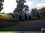 Flota de Buses Tur-Bus