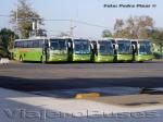 Flota de Buses Tur-Bus