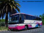 Comil Galleggiante 3.40 / Mercedes Benz O-400RSE / Pullman Bus