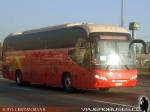 Youngman JNP6126L Starliner / Pullman Bus