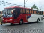 Busscar Jum Buss 340 / Scania K113 / Buses Golondrina