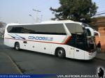 King Long XMQ6130Y / Condor Bus