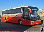 King Long XMQ6130Y / Pullman Bus